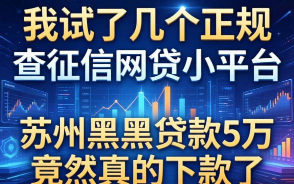 我试了几个正规不查征信的网贷小平台，苏州黑户贷款5万竟然真的下款了
