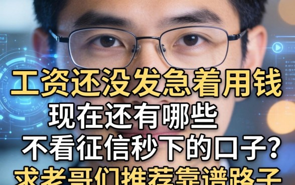 工资还没发急着用钱，现在还有哪些不看征信秒下的口子？求老哥们推荐靠谱路子！