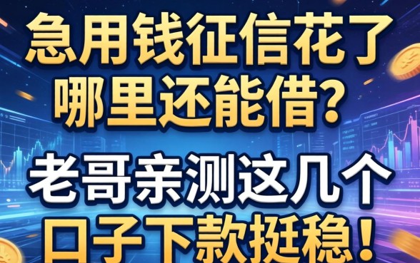 急用钱征信花了哪里还能借？老哥亲测这几个口子下款挺稳！