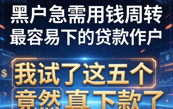 黑户急需用钱周转最容易下的贷款软件，我试了这五个竟然真下款了