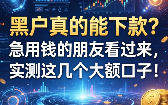 黑户真的能下款？急用钱的朋友看过来，实测这几个大额口子！
