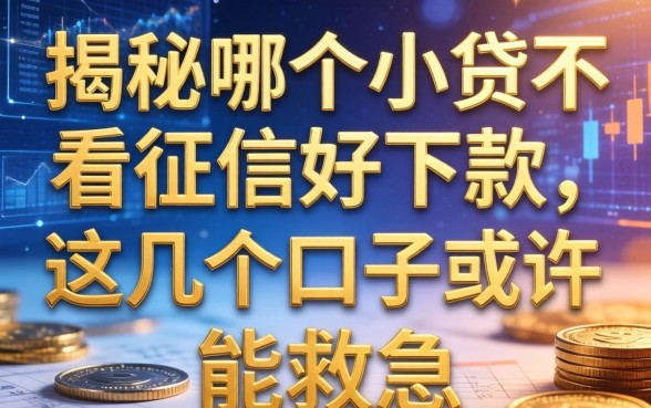 揭秘哪个小贷不看征信好下款，这几个口子或许能救急