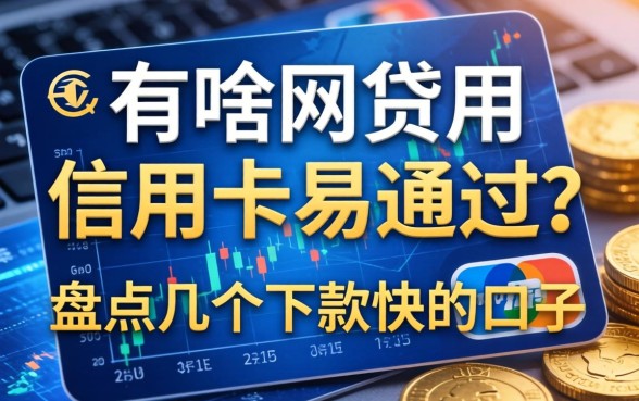 有啥网贷用信用卡易通过？盘点几个下款快的口子
