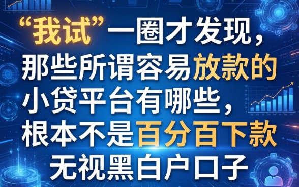 我试了一圈才发现，那些所谓容易放款的小贷平台有哪些，根本不是百分百下款无视黑白户口子