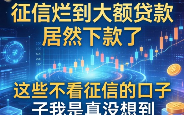 征信烂到大额贷款居然下款了，这些不看征信的口子我是真没想到