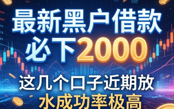 最新黑户借款必下2000，这几个口子近期放水成功率极高