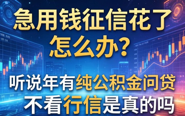 急用钱征信花了怎么办？听说2026年有纯公积金网贷不看征信是真的吗？