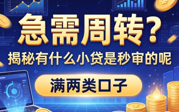 急需周转？揭秘有什么小贷是秒审的呢这两类口子