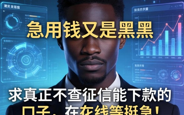 急用钱又是黑户，求真正不查征信能下款的口子，在线等挺急的！