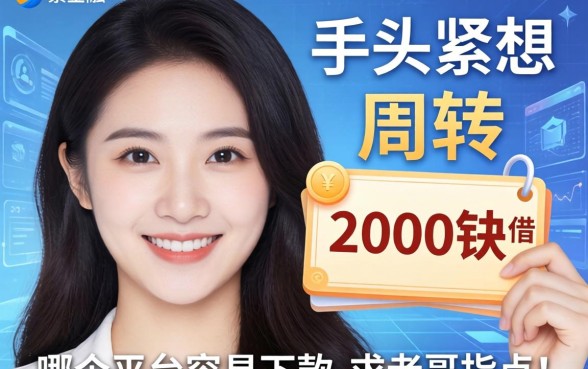 手头紧想借2000块周转，哪个平台容易下款？求老哥指点！