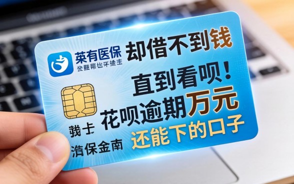 我有医保卡却借不到钱，直到看见花呗逾期万元还能下的口子