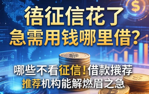 征信花了急需用钱哪里借？哪些不看征信的借款推荐机构能解燃眉之急？