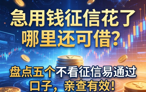急用钱征信花了哪里还能借？盘点五个不看征信易通过的口子，亲测有效！