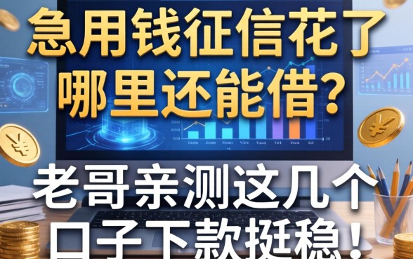 急用钱征信花了哪里还能借？老哥亲测这几个口子下款挺稳！