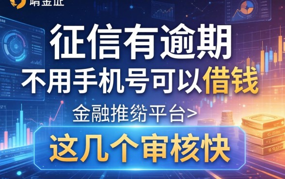 征信有逾期不用手机号可以借钱的平台，这几个审核快