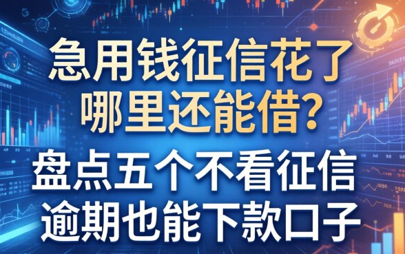 急用钱征信花了哪里还能借？盘点五个不看征信逾期也能下款的口子