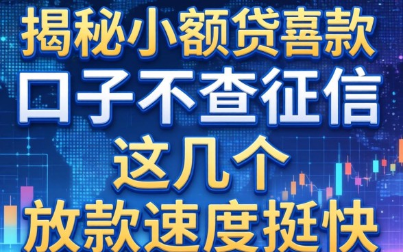 揭秘小额贷款口子不查征信，这几个放款速度挺快