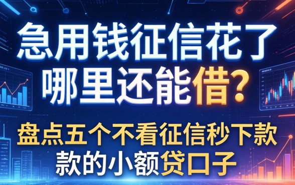 急用钱征信花了哪里还能借？盘点五个不看征信秒下款的小额贷口子
