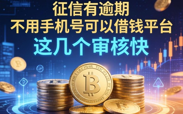 征信有逾期不用手机号可以借钱的平台，这几个审核快