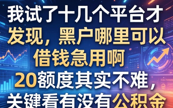 我试了十几个平台才发现，黑户哪里可以借钱急用啊2万额度其实不难，关键看有没有公积金