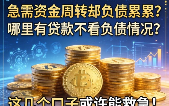 急需资金周转却负债累累？哪里有贷款不看负债情况？这几个口子或许能救急！