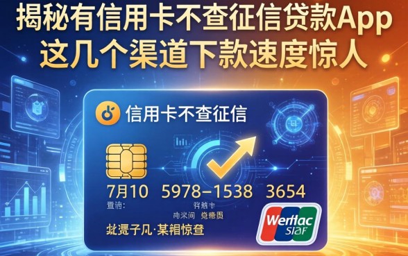 揭秘有信用卡不查征信的贷款app，这几个渠道下款速度惊人