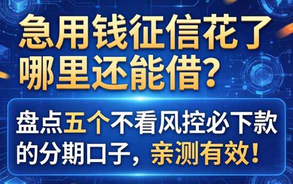 急用钱征信花了哪里还能借？盘点五个不看风控必下款的分期口子，亲测有效！