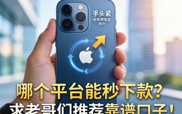 手头紧只有一部苹果手机，哪个平台能秒下款？求老哥们推荐靠谱口子！