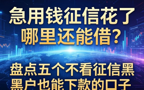 急用钱征信花了哪里还能借？盘点五个不看征信黑户也能下款的口子