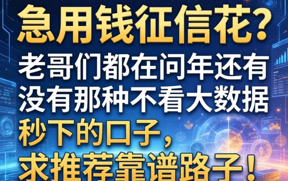 急用钱征信花？老哥们都在问2026年还有没有那种不看大数据秒下的口子，求推荐靠谱路子！