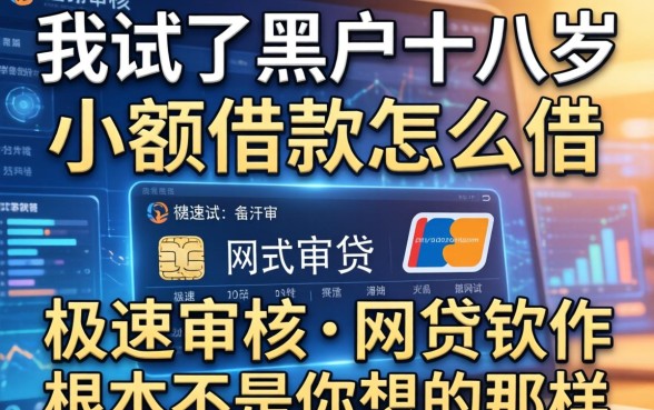 我试了黑户十八岁小额借款怎么借，发现极速审核的网贷软件根本不是你想的那样