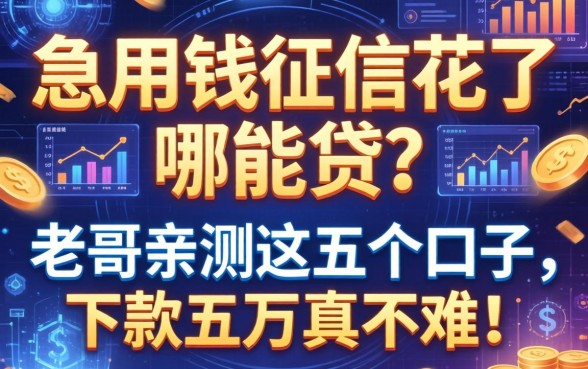 急用钱征信花了哪能贷？老哥亲测这五个口子，下款五万真不难！
