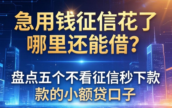 急用钱征信花了哪里还能借？盘点五个不看征信秒下款的小额贷口子