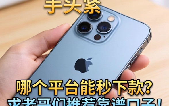 手头紧只有一部苹果手机，哪个平台能秒下款？求老哥们推荐靠谱口子！