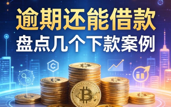 当前有逾期还能借款的网贷有哪些？盘点几个下款案例