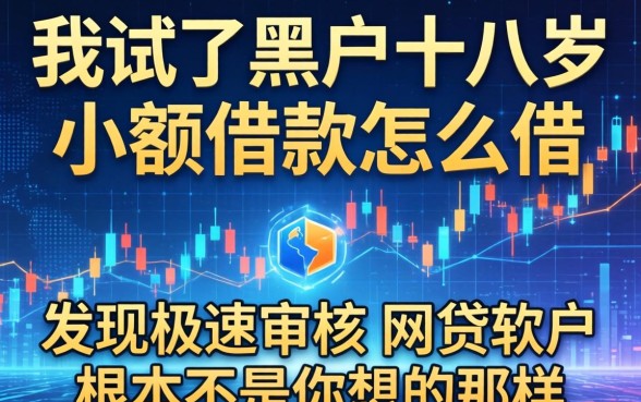 我试了黑户十八岁小额借款怎么借，发现极速审核的网贷软件根本不是你想的那样