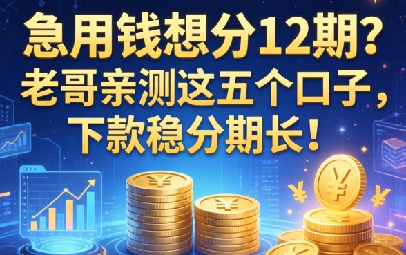 急用钱想分12期？老哥亲测这五个口子，下款稳分期长！