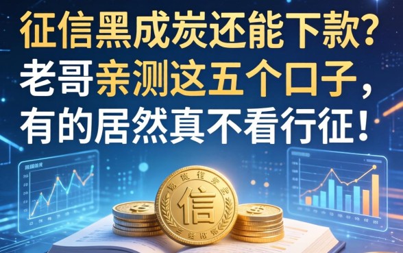 征信黑成炭还能下款？老哥亲测这五个口子，有的居然真不看征信！