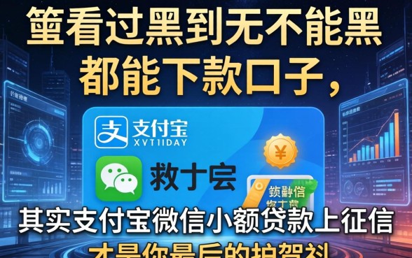我看过黑到不能再黑都能下款的口子，其实支付宝微信小额贷款上征信才是你最后的护身符