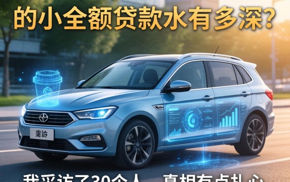 有车的小额贷款水有多深？我采访了30个人，真相有点扎心