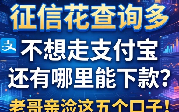 征信花查询多，不想走支付宝还有哪里能下款？老哥亲测这五个口子！