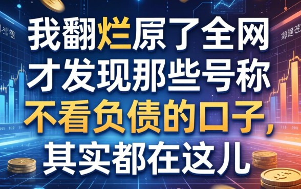 我翻烂了全网，才发现那些号称不看负债的口子，其实都在这儿