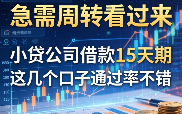 急需周转看过来：小贷公司借款15天期这几个口子通过率不错