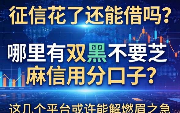 征信花了还能借吗？哪里有双黑不要芝麻信用分口子？这几个平台或许能解燃眉之急