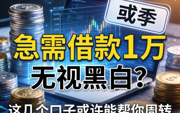 急需借款1万无视黑白？这几个口子或许能帮你周转