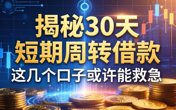 揭秘30天的短期周转借款2026，这几个口子或许能救急