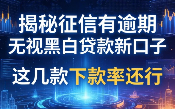 揭秘征信有逾期无视黑白贷款新口子，这几款下款率还行