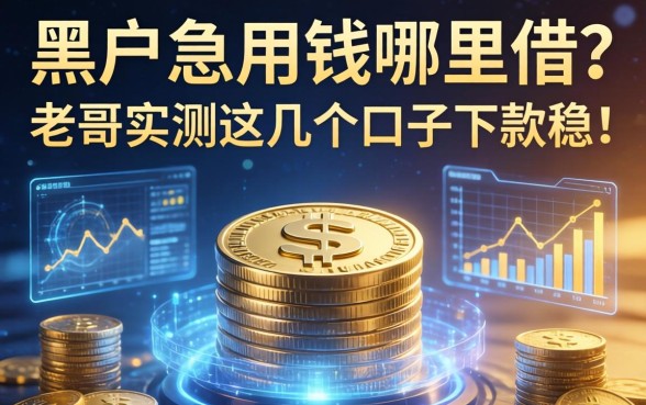 黑户急用钱哪里借？老哥实测这几个口子下款稳！