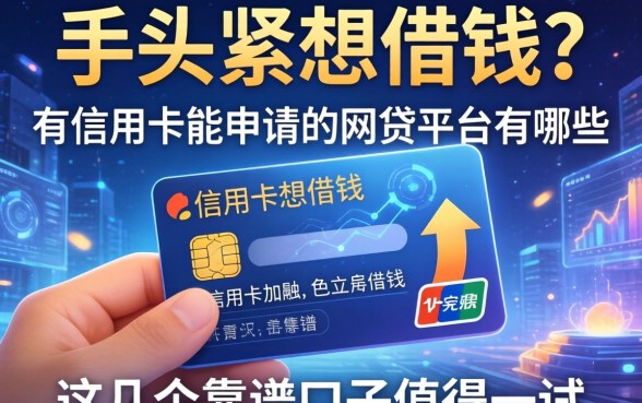 手头紧想借钱？有信用卡能申请的网贷平台有哪些？这几个靠谱口子值得一试
