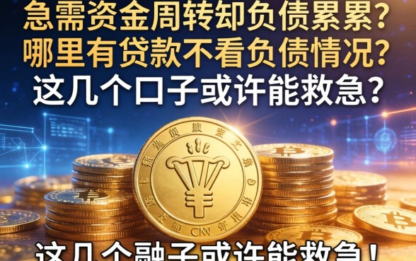 急需资金周转却负债累累？哪里有贷款不看负债情况？这几个口子或许能救急！
